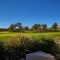 backyard view